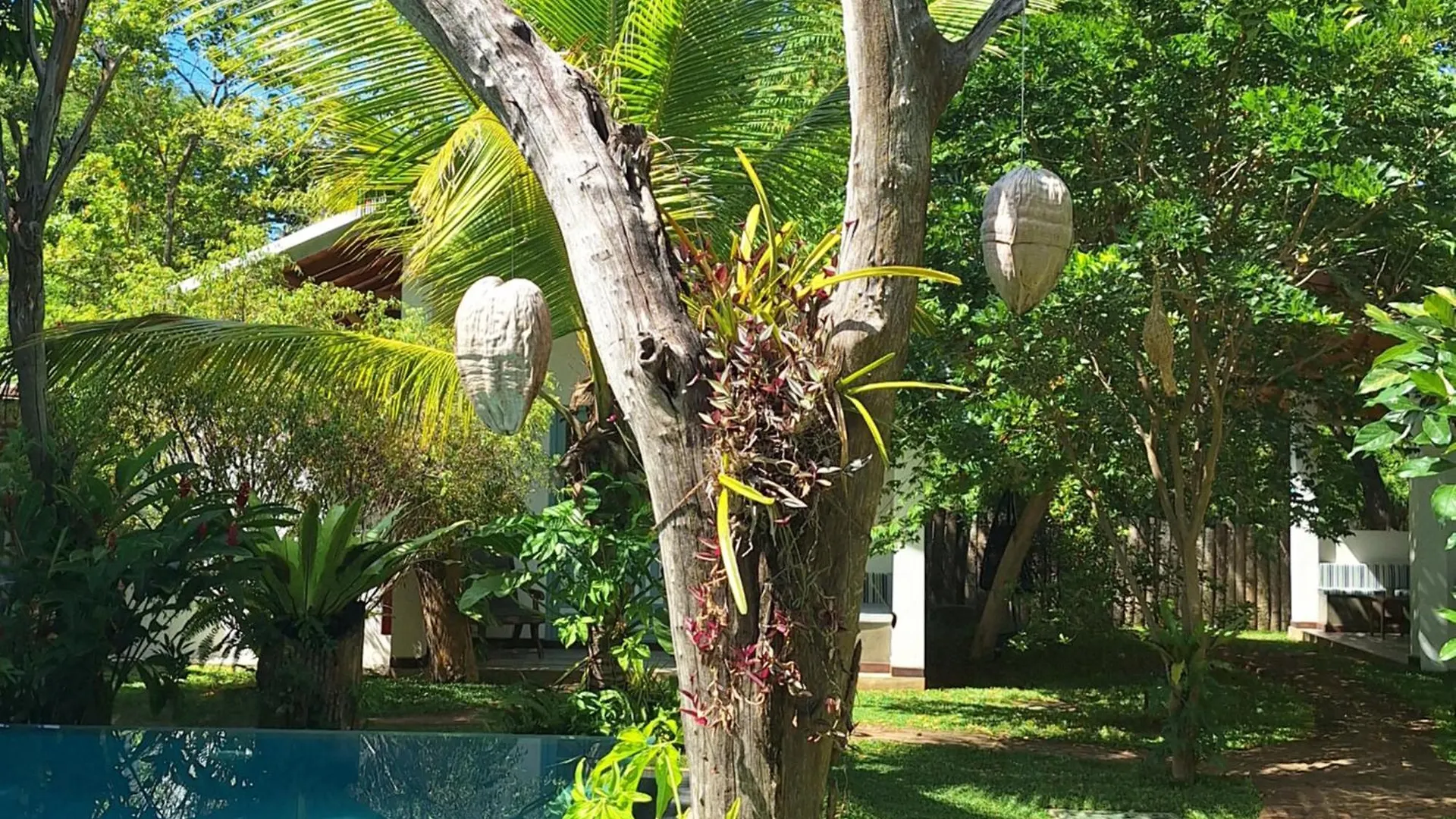 Kandalama Lodge Dambulla